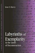 Labyrinths of Exemplarity