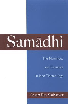 Stuart Ray Sarbacker - Samādhi, Inbunden