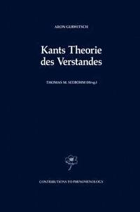 Kants Theorie des Verstandes