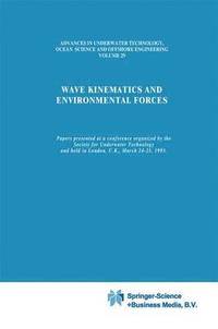 Wave Kinematics and Environmental Forces