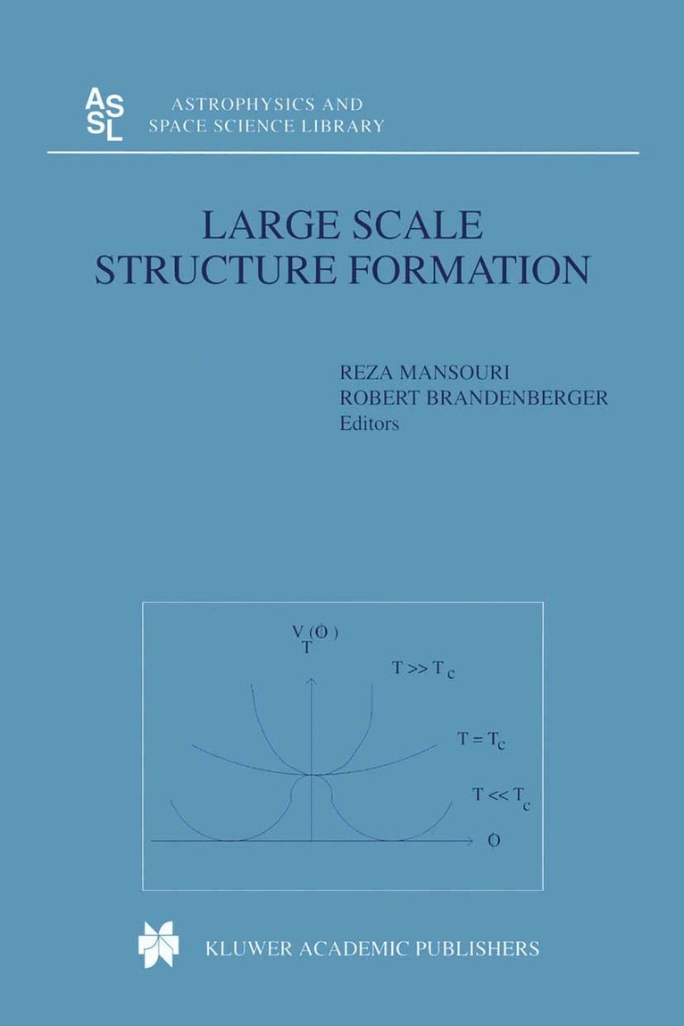 Large Scale Structure Formation