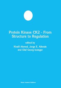 Protein Kinase CK2  From Structure to Regulation
