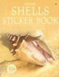 Shells Sticker Book [With Stickers]