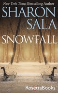 Snowfall