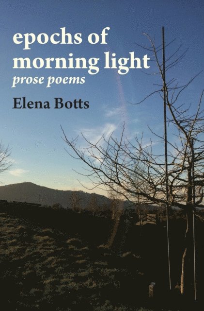 Elena Botts - epochs of morning light: prose poems, E-bok