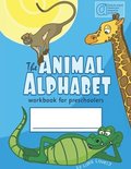 Spotlight on Grammar Tg Bk 2