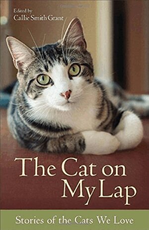 Callie Smith Grant, Callie Smith Grant - Cat on My Lap – Stories of the Cats We Love, Häftad. Tillgänglighet: Lägg i varukorg