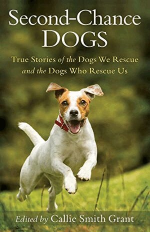 Callie Smith Grant - Second-Chance Dogs, Häftad. Tillgänglighet: Lägg i varukorg