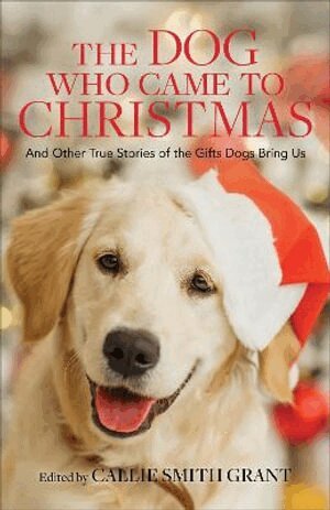Callie Smith Grant, Callie Smith Grant - Dog Who Came to Christmas – And Other True Stories of the Gifts Dogs Bring Us, Häftad. Tillgänglighet: Lägg i varukorg