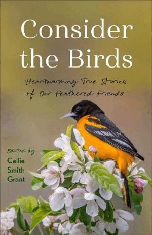 Callie Smith Grant - Consider the Birds, Häftad. Tillgänglighet: Lägg i varukorg