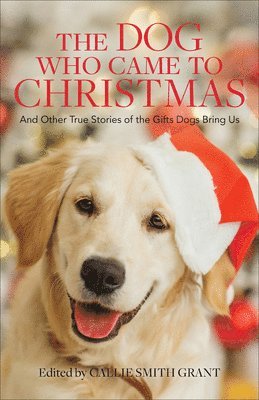 Callie Smith Grant - Dog Who Came to Christmas, Inbunden. Tillgänglighet: Lägg i varukorg