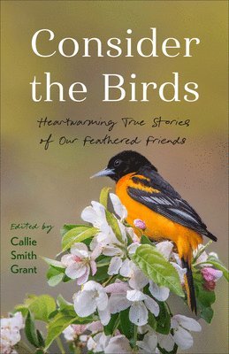 Callie Smith Grant - Consider the Birds: Heartwarming True Stories of Our Feathered Friends, Inbunden. Tillgänglighet: Lägg i varukorg