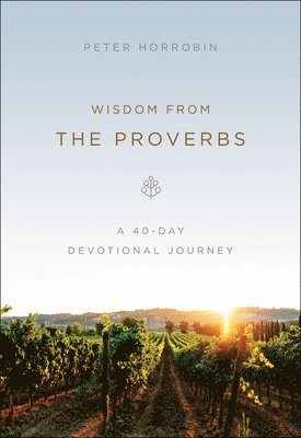 Wisdom from the Proverbs, Häftad