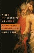 A New Perspective on Jesus: What the Quest for the Historical Jesus Missed