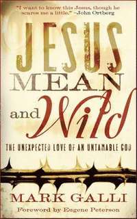 Jesus Mean and Wild - The Unexpected Love of an Untamable God