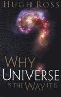 Why the Universe Is the Way It Is