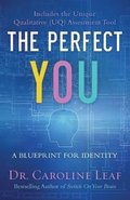 Perfect You - A Blueprint for Identity