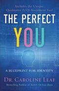 The Perfect You  A Blueprint for Identity