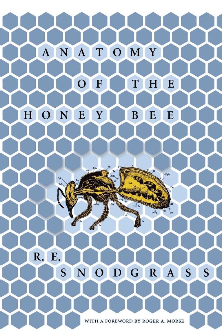 R. E. Snodgrass - Anatomy of the Honey Bee, Inbunden. Tillgänglighet: Lägg i varukorg