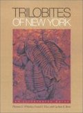 Trilobites of New York