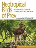 Neotropical Birds of Prey