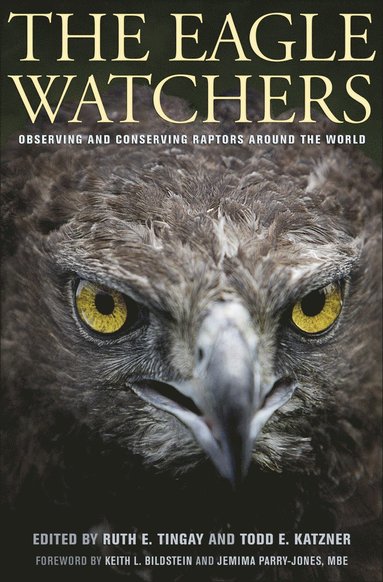 Eagle Watchers av Ruth Tingay, Todd Katzner