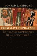 Donald B. Redford - From Slave to Pharaoh, Inbunden