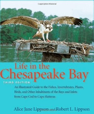 Alice Jane Lippson, Robert L. Lippson - Life in the Chesapeake Bay, Häftad. Tillgänglighet: Lägg i varukorg