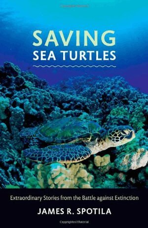 Saving Sea Turtles