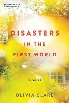 Olivia Clare - Disasters in the First World, Häftad
