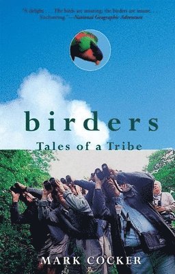 Mark Cocker - Birders, Häftad. Tillgänglighet: Tillfälligt slut
