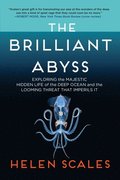 Brilliant Abyss