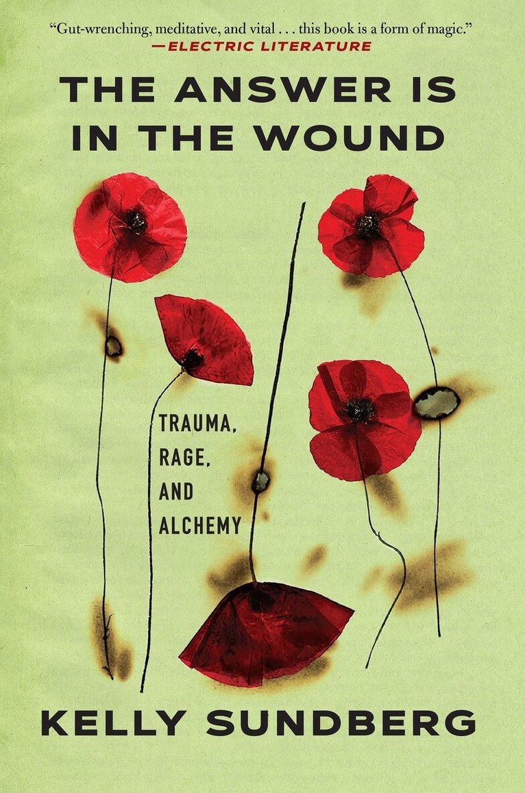 Kelly Sundberg - Answer Is in the Wound, Häftad. Tillgänglighet: Lägg i varukorg