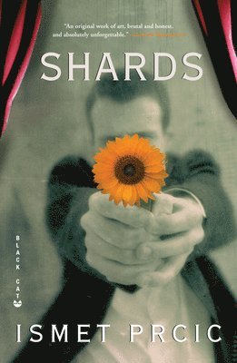 Ismet Prcic - Shards, Häftad