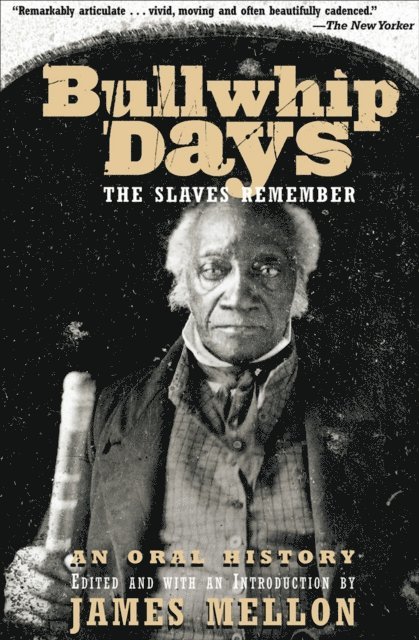 James Mellon - Bullwhip Days, E-bok