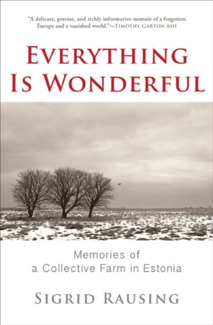 Sigrid Rausing - Everything Is Wonderful, E-bok