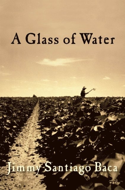 Jimmy Santiago Baca - Glass of Water, E-bok