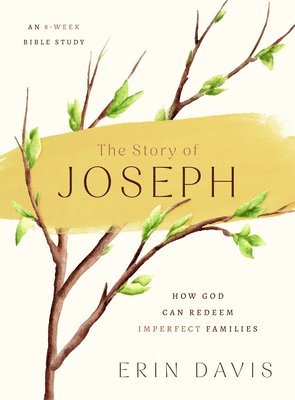 Erin Davis - Story of Joseph, The, Häftad