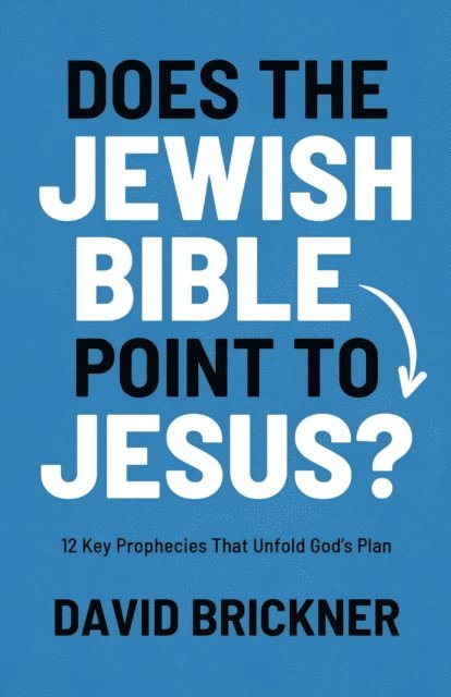 David Brickner - Does the Jewish Bible Point to Jesus?, E-bok