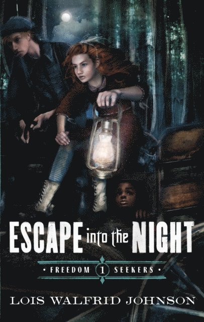Lois Walfrid Johnson - Escape into the Night, E-bok