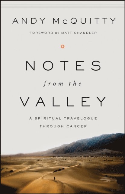Andy Mcquitty - Notes from the Valley, E-bok