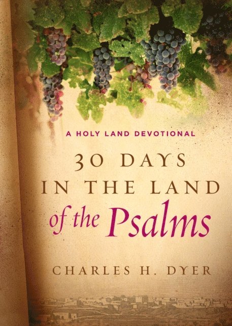 Charles H Dyer - 30 Days in the Land of the Psalms, E-bok