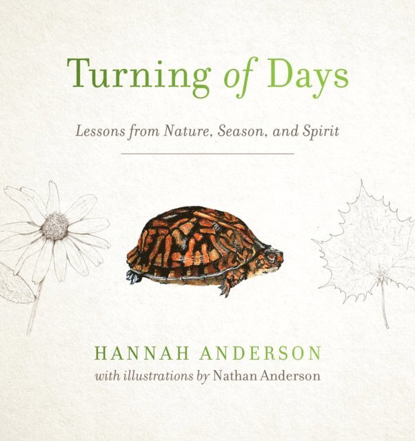 Hannah Anderson - Turning of Days, E-bok