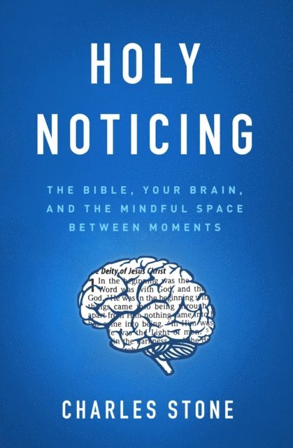 Charles Stone - Holy Noticing, E-bok