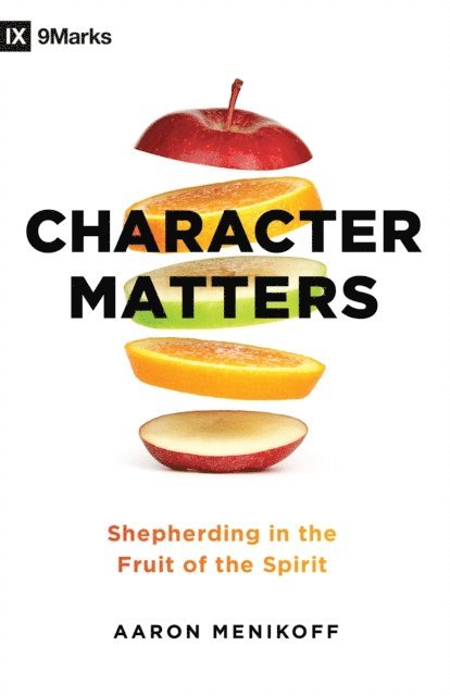Aaron Menikoff - Character Matters, E-bok