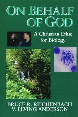 Bruce R. Reichenbach, V.Elving Anderson - On Behalf of God, Häftad