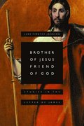 Brother of Jesus, Friend of God: Studies in the Letter of James