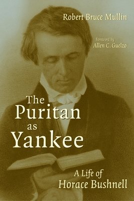 Mullin - Puritan as Yankee, Häftad
