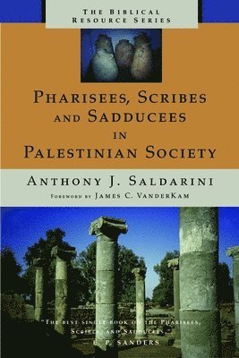 Anthony Saldarini - Pharisees, Scribes, and Sadducees in Palestinian Society, Häftad