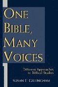 One Bible, Many Voices: Different Approaches to Biblical Studies